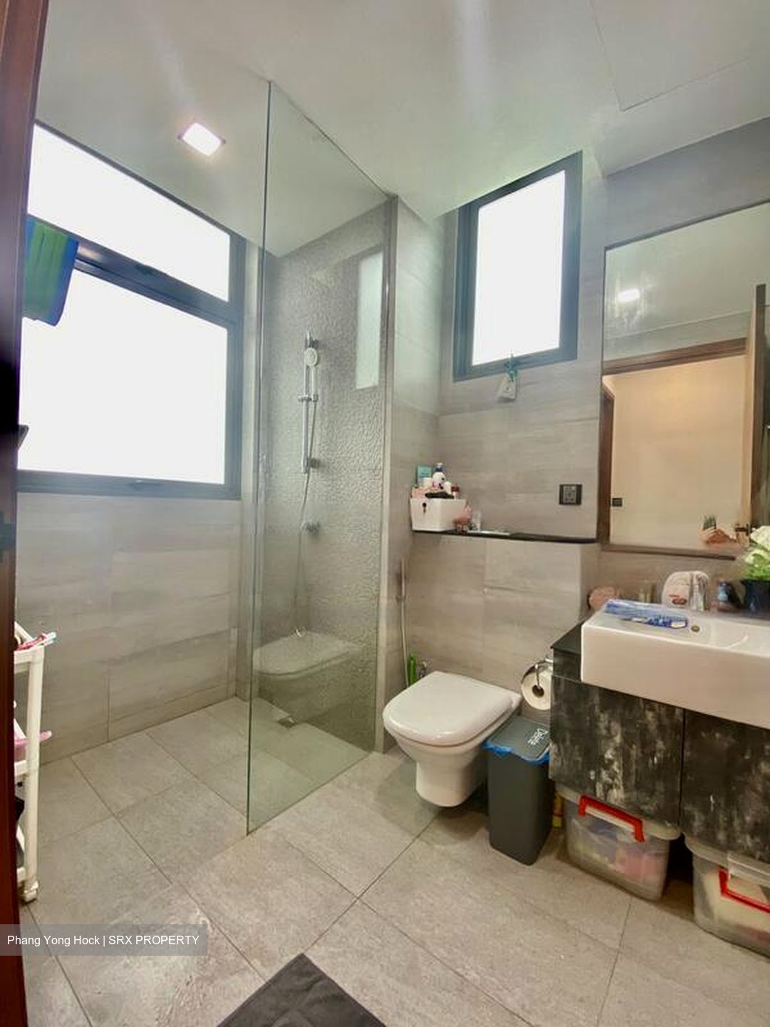 Meridian 38 (D15), Apartment #520864061